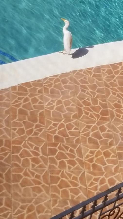 Chaudhry Holiday House Montego Bay Zewnętrze zdjęcie